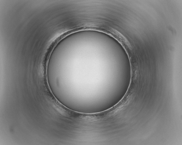 X0000115831027200911271155