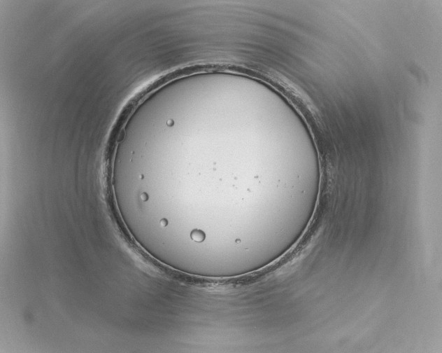 X0000115831029200911271155