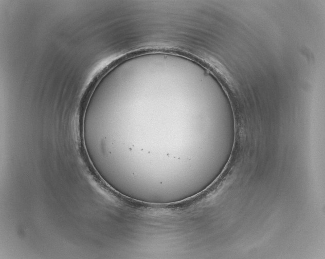 X0000115831030200911271155