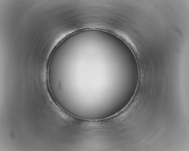 X0000115831040200911271155