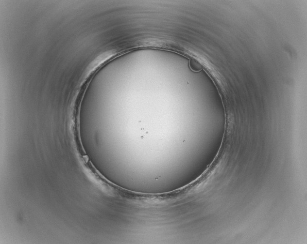 X0000115831042200911271155