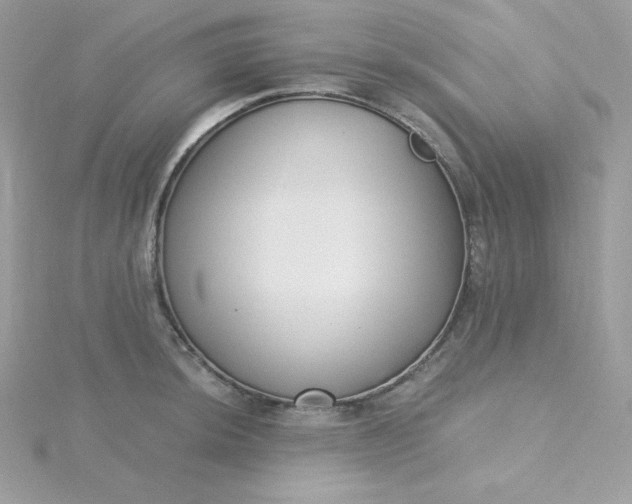 X0000115831044200911271155