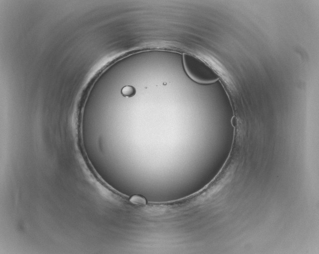 X0000115831046200911271155