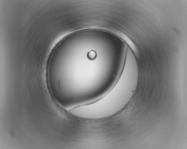 X0000115831051200911271155