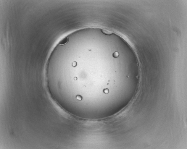 X0000115831056200911271155