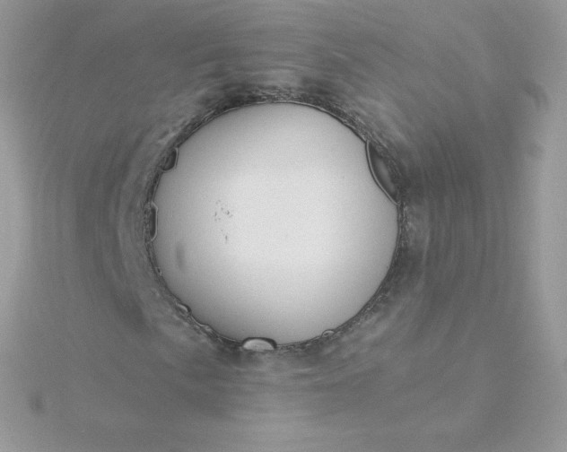 X0000115831057200911271154