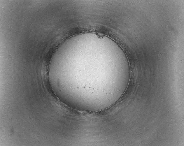 X0000115831058200911271154