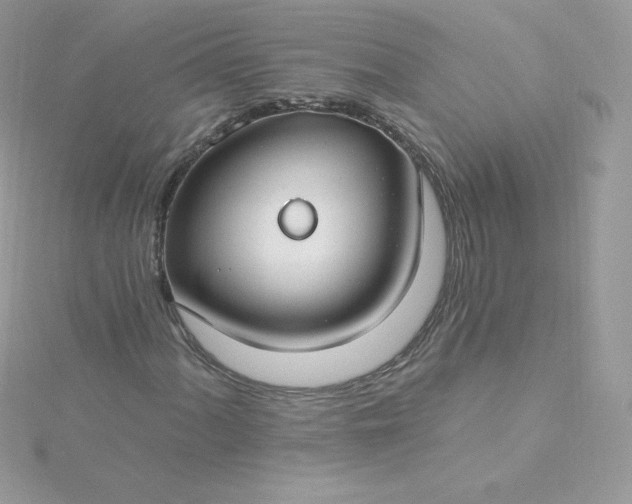 X0000115831060200911271154