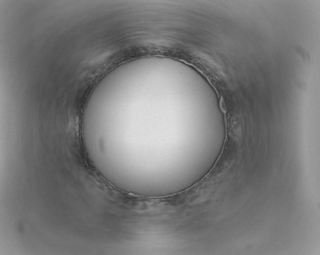 X0000115831061200911271154