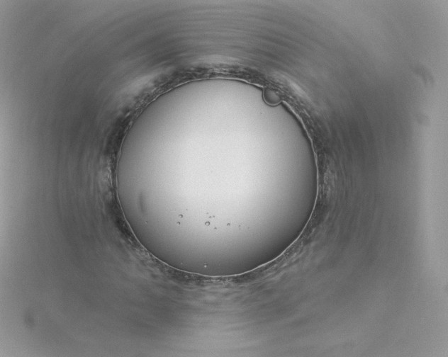 X0000115831062200911271154