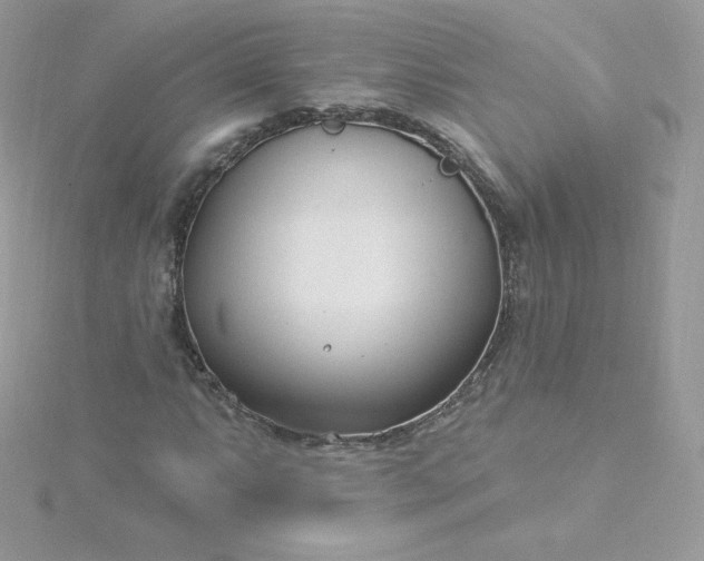 X0000115831063200911271154