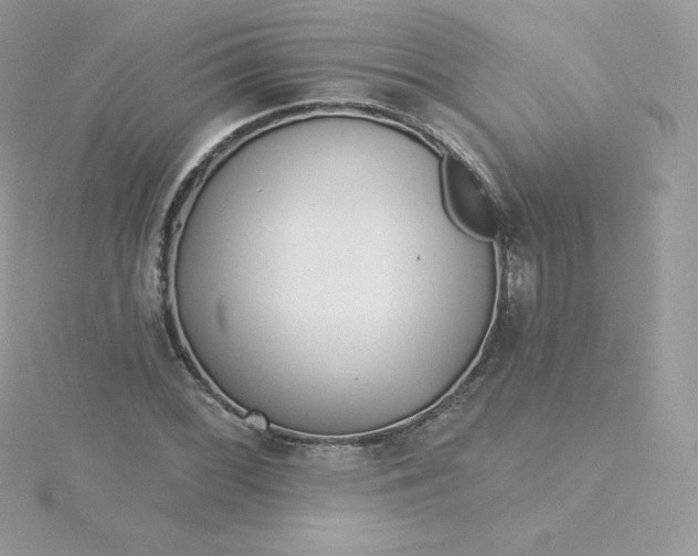 X0000115831068200911271154