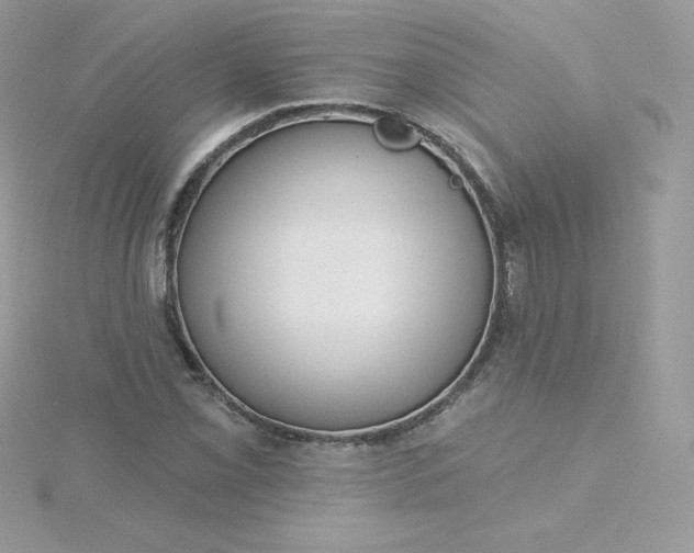 X0000115831069200911271154