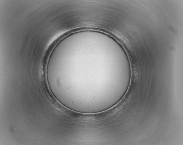 X0000115831070200911271154