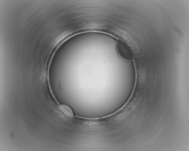 X0000115831073200911271154