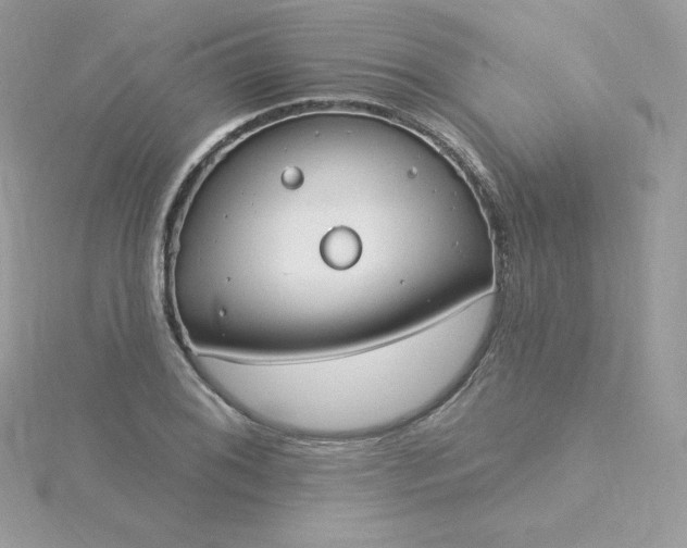 X0000115831076200911271154