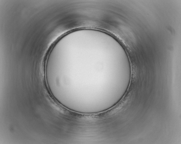 X0000115831078200911271154