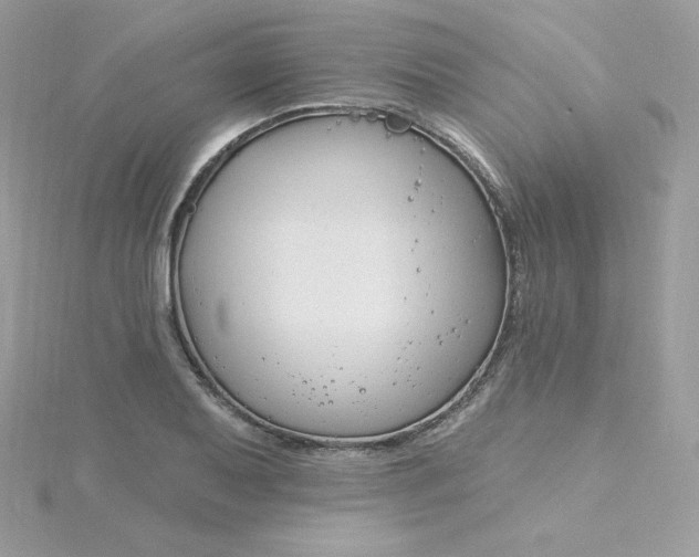 X0000115831079200911271154