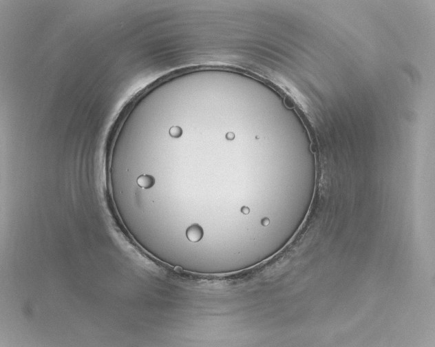 X0000115831080200911271154