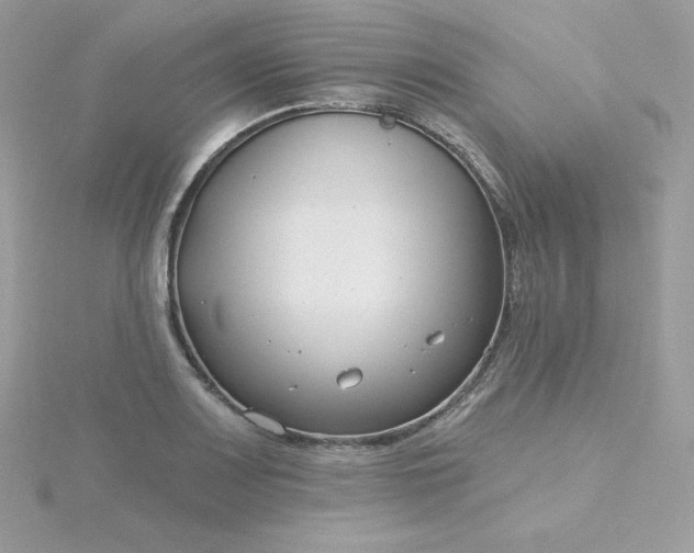 X0000115831083200911271154