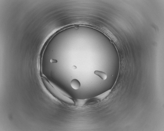 X0000115831084200911271154