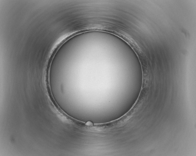 X0000115831086200911271154