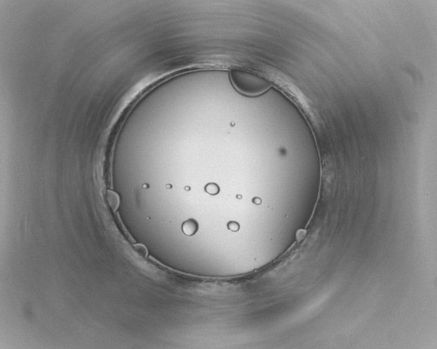 X0000115831091200911271154