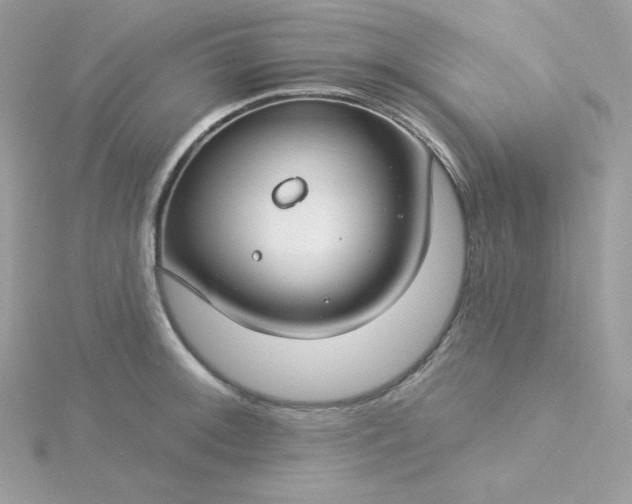 X0000115831092200911271154