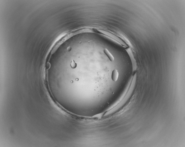 X0000115831095200911271154