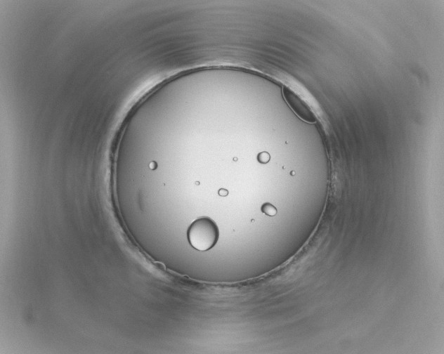 X0000115831096200911271154