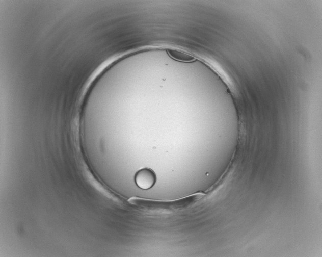 X0000115831100200911271154