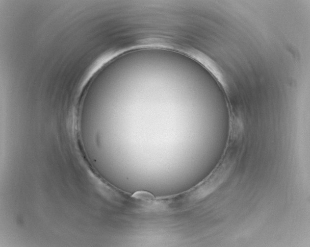 X0000115831101200911271154