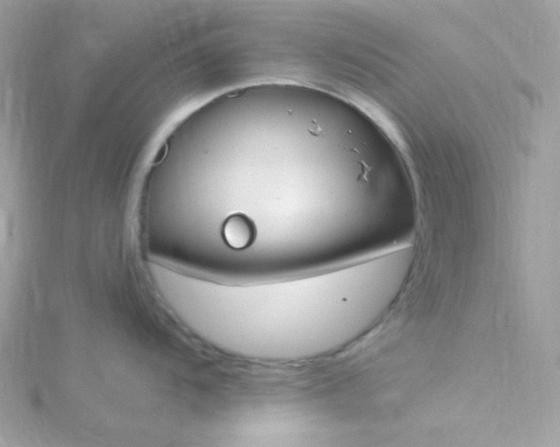 X0000115831104200911271154