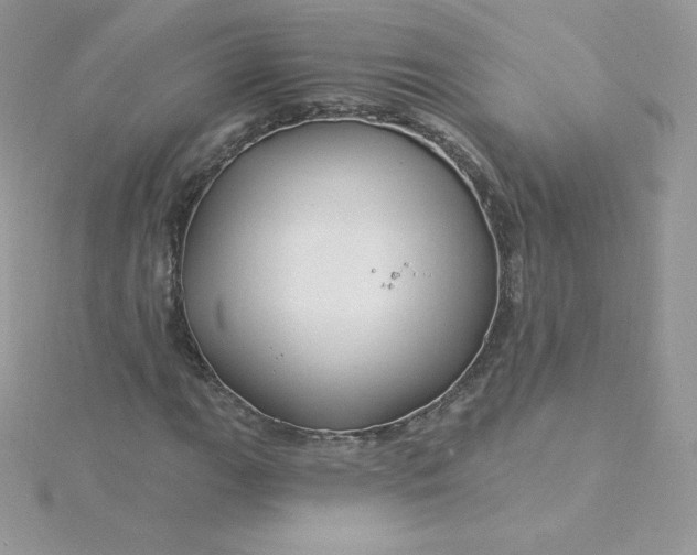 X0000115831111200911271153