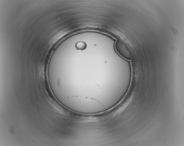 X0000115831113200911271153