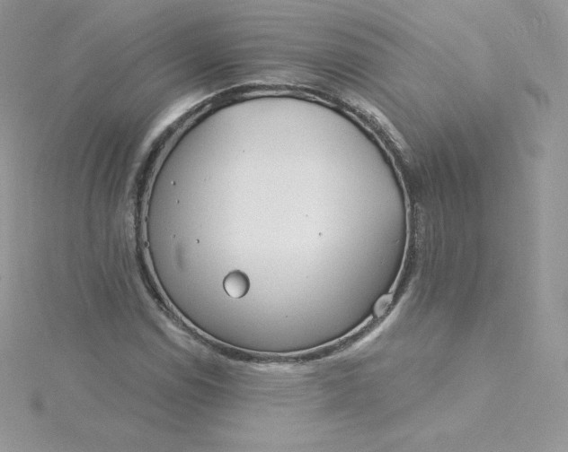 X0000115831114200911271153