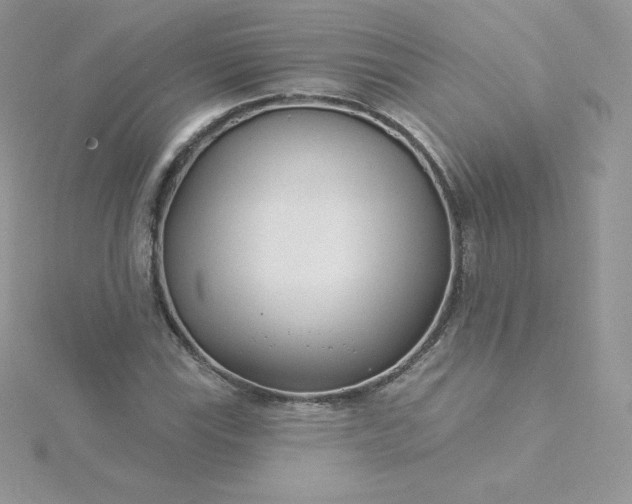 X0000115831115200911271153