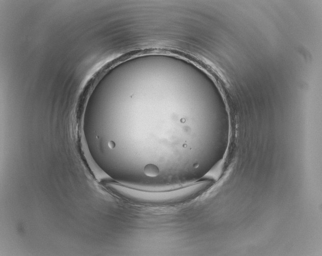 X0000115831117200911271153