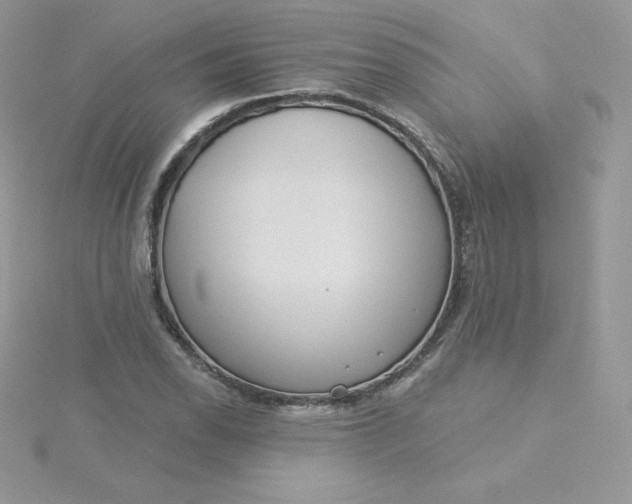 X0000115831118200911271153