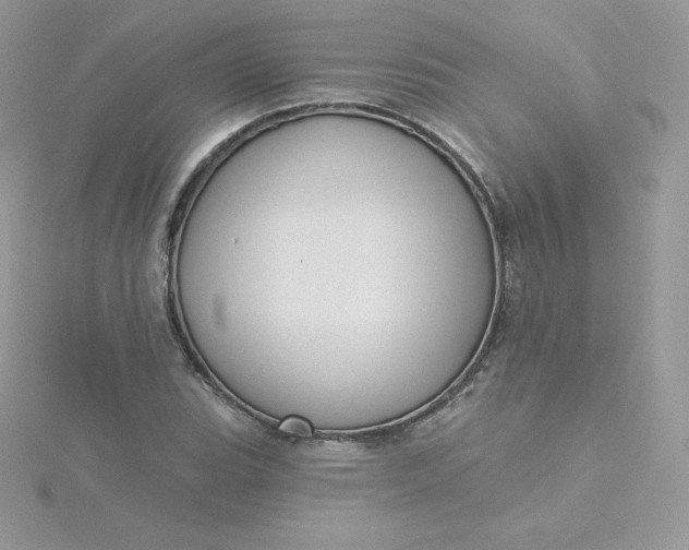 X0000115831119200911271153