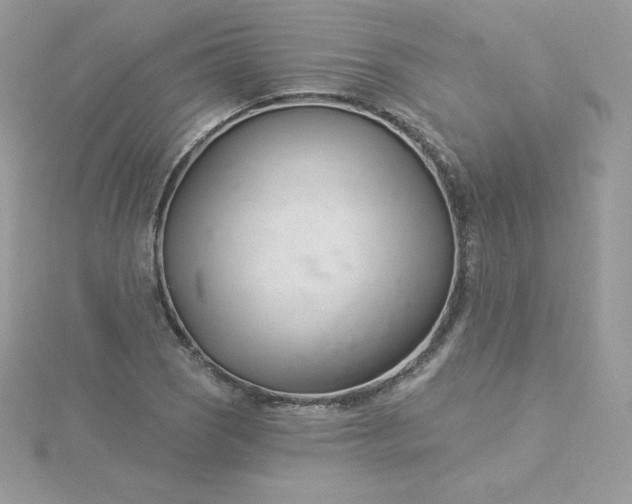 X0000115831121200911271153