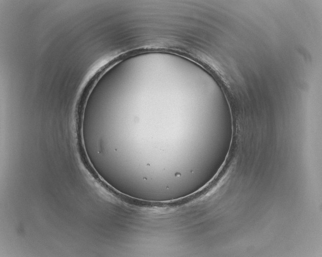 X0000115831122200911271153