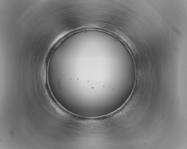 X0000115831127200911271153