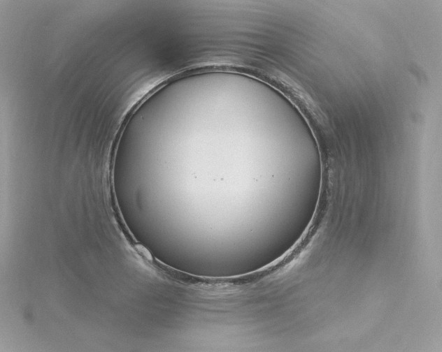 X0000115831129200911271154