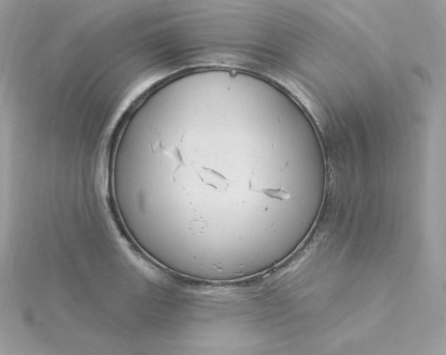 X0000115831131200911271154