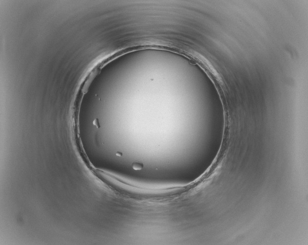 X0000115831133200911271154