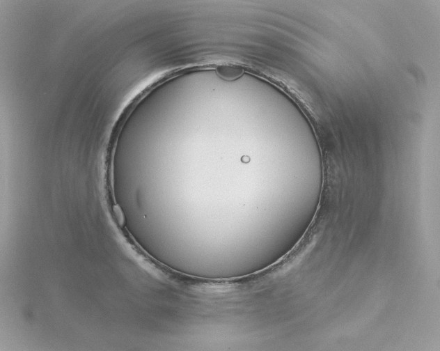 X0000115831134200911271154