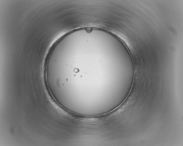 X0000115831135200911271154