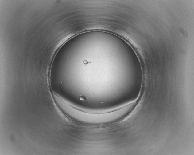 X0000115831137200911271154