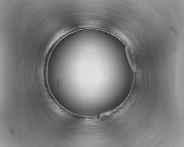 X0000115831138200911271154